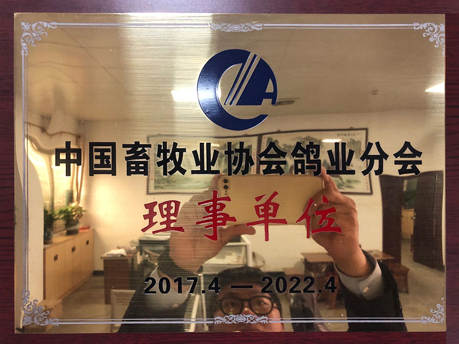 中國畜牧業協會鴿業分會理事單位
