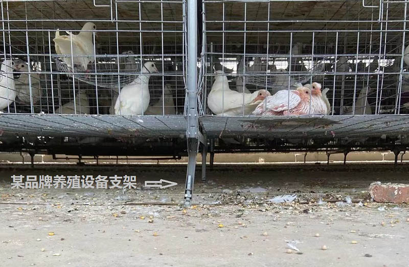 廣州市美雄畜牧設備有限公司