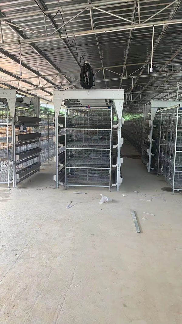 自動化養殖設備使用效果