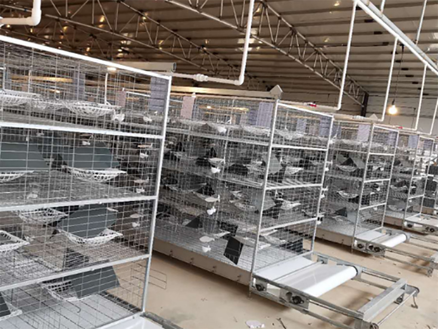 四層養鴿籠具