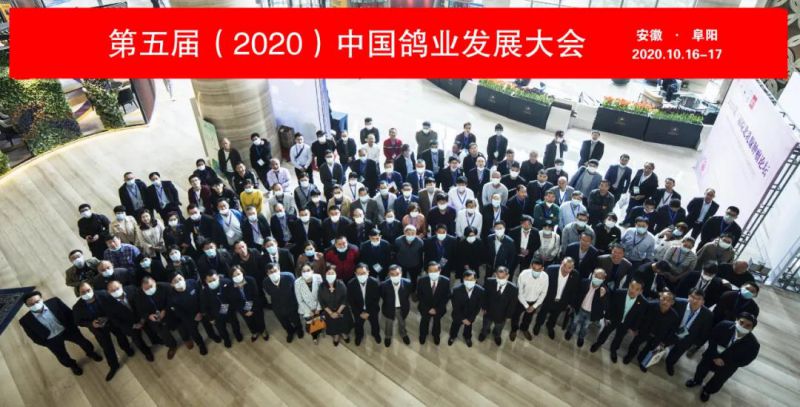 廣州市美雄畜牧設備有限公司