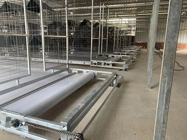 自動化養殖設備使用效果