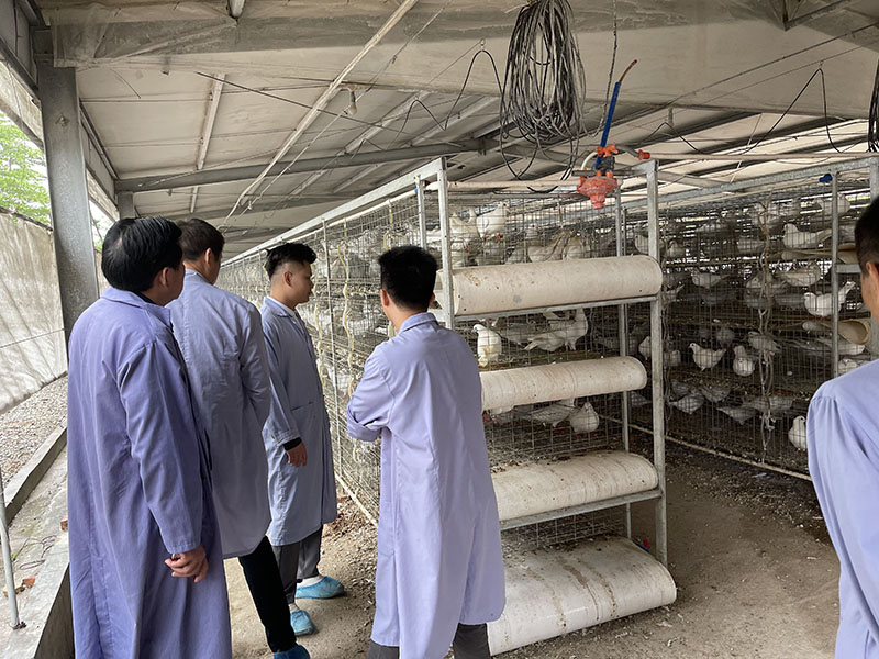 廣州市美雄畜牧設備有限公司